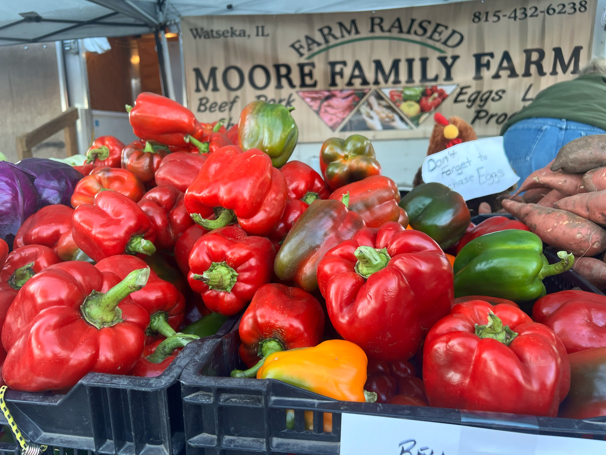 Bell peppers by Moore Family Farm are for sale at the Urbana Market. Photo by Alyssa Buckley.