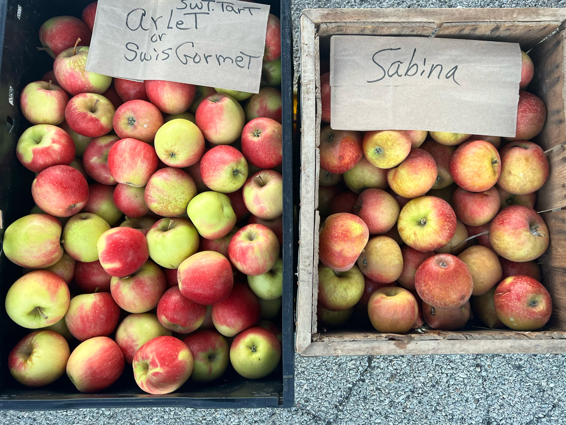 An overhead shot of two large boxes of red apples for sale at the Urbana market. Photo by Alyssa Buckley.