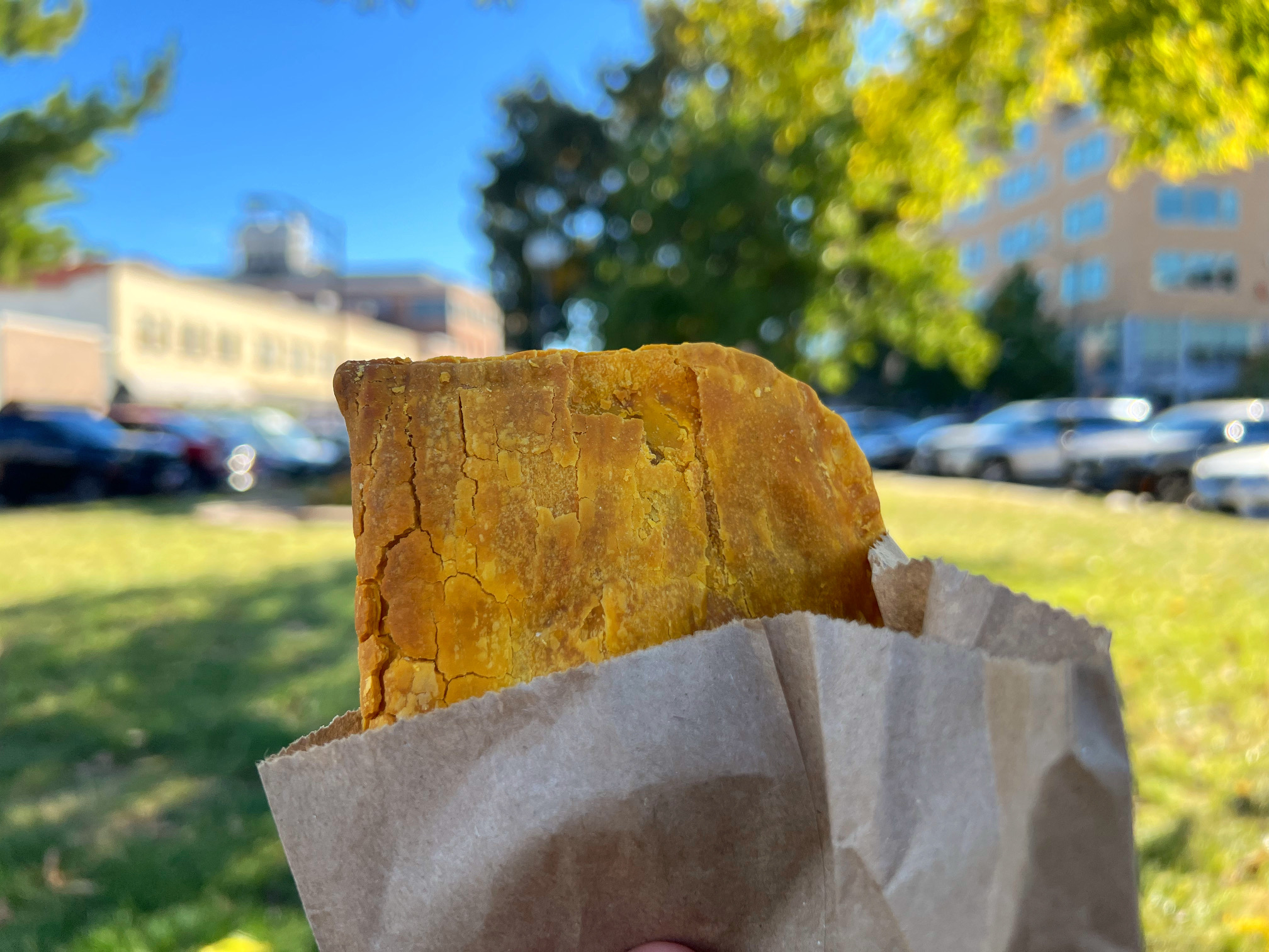 Outside at the Champaign market, there is a beef handpie from Stango held in a paper bag. Photo by Alyssa Buckley.
