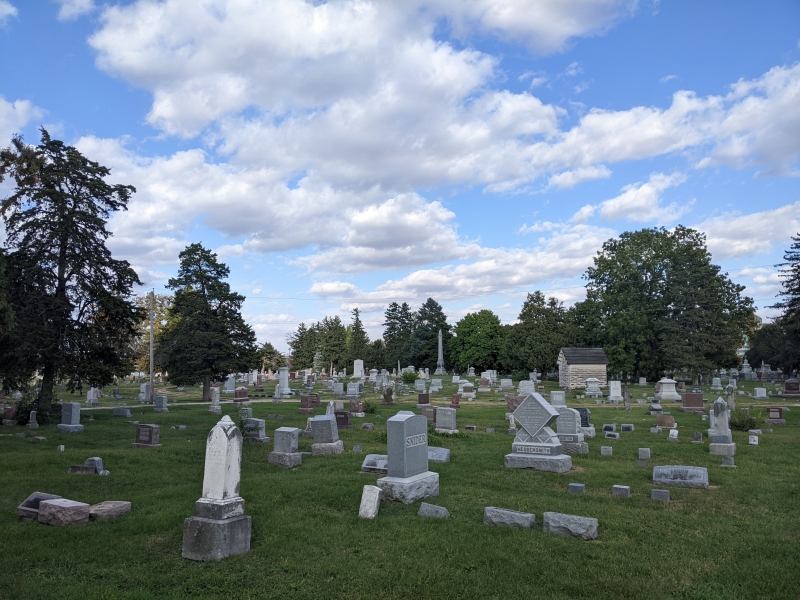 A cemetary with green grass and various stone headstones scattered across the landscape, and trees in the background. Photo by Tom Ackerman.