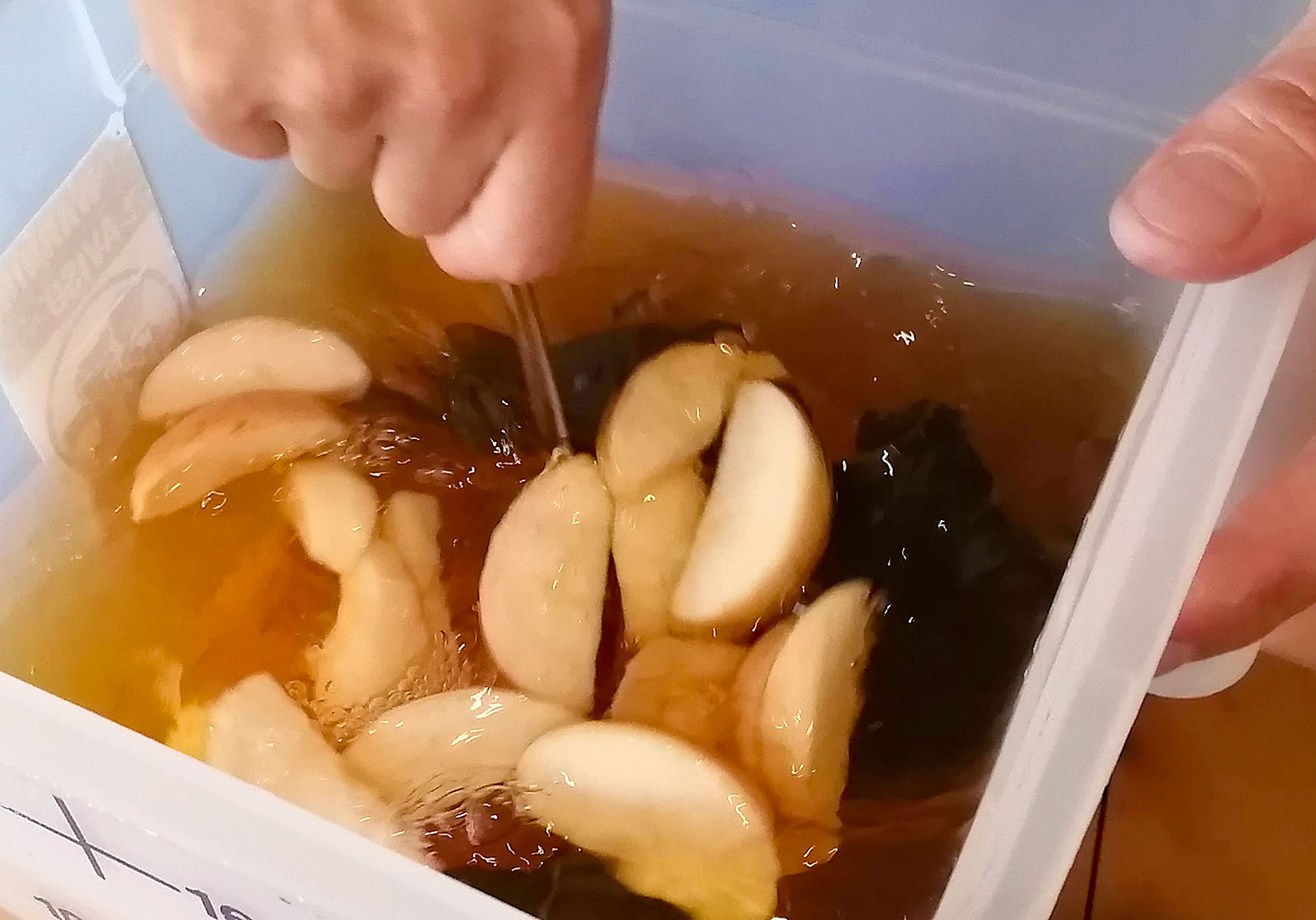 A close-up of a brown liquid in a white plastic bucket being stirred; slices of apple are clearly visible. Photo by Paul Young.