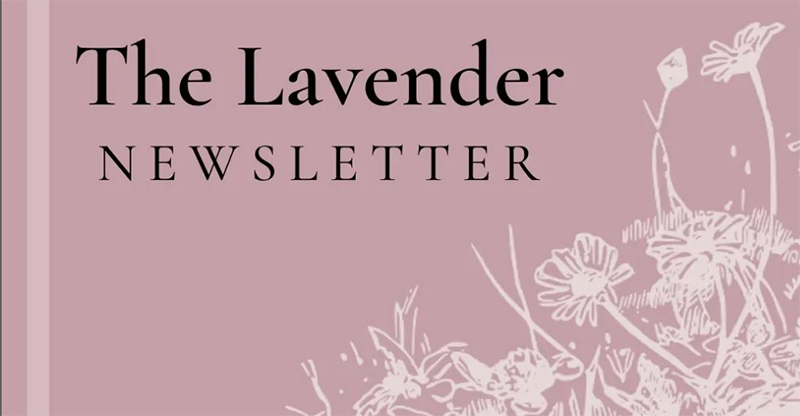 Meet The Lavender: C-U’s new queer newsletter