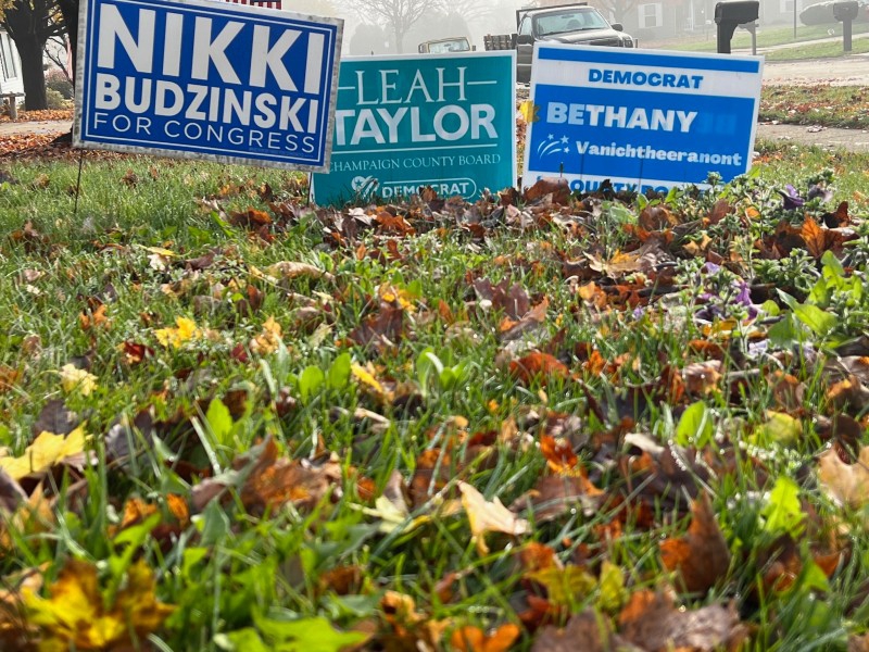 Low to the ground view of a yard with green grass and brown leaves. There are three political signs: for Nikki Budzinski, Leah Taylor, and Bethany Vanicheteeranont. Photo by Julie McClure.