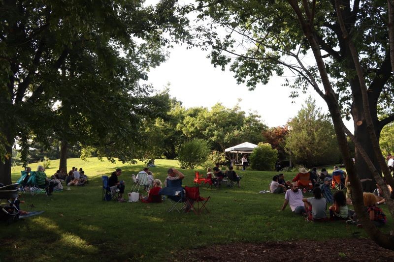 Groups of people are scattered across a grassy hill, surrounded by leafy trees. Photo by Maddie Rice.