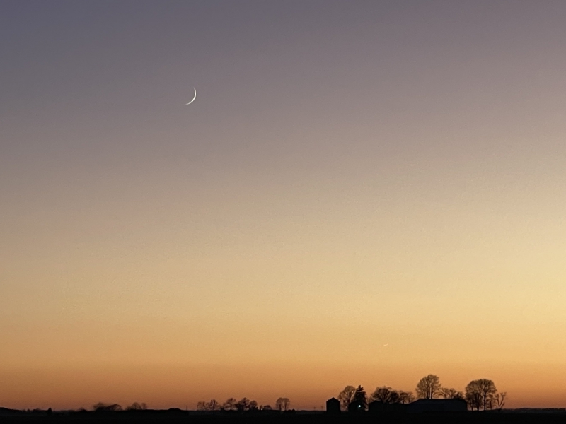 A sunset...the sky is dark grayish blue then turns to yellow and orange as it reaches the horizon. There are silhouettes of trees along the horizon, and a sliver of a moon in the sky. Photo by Andrew Pritchard.