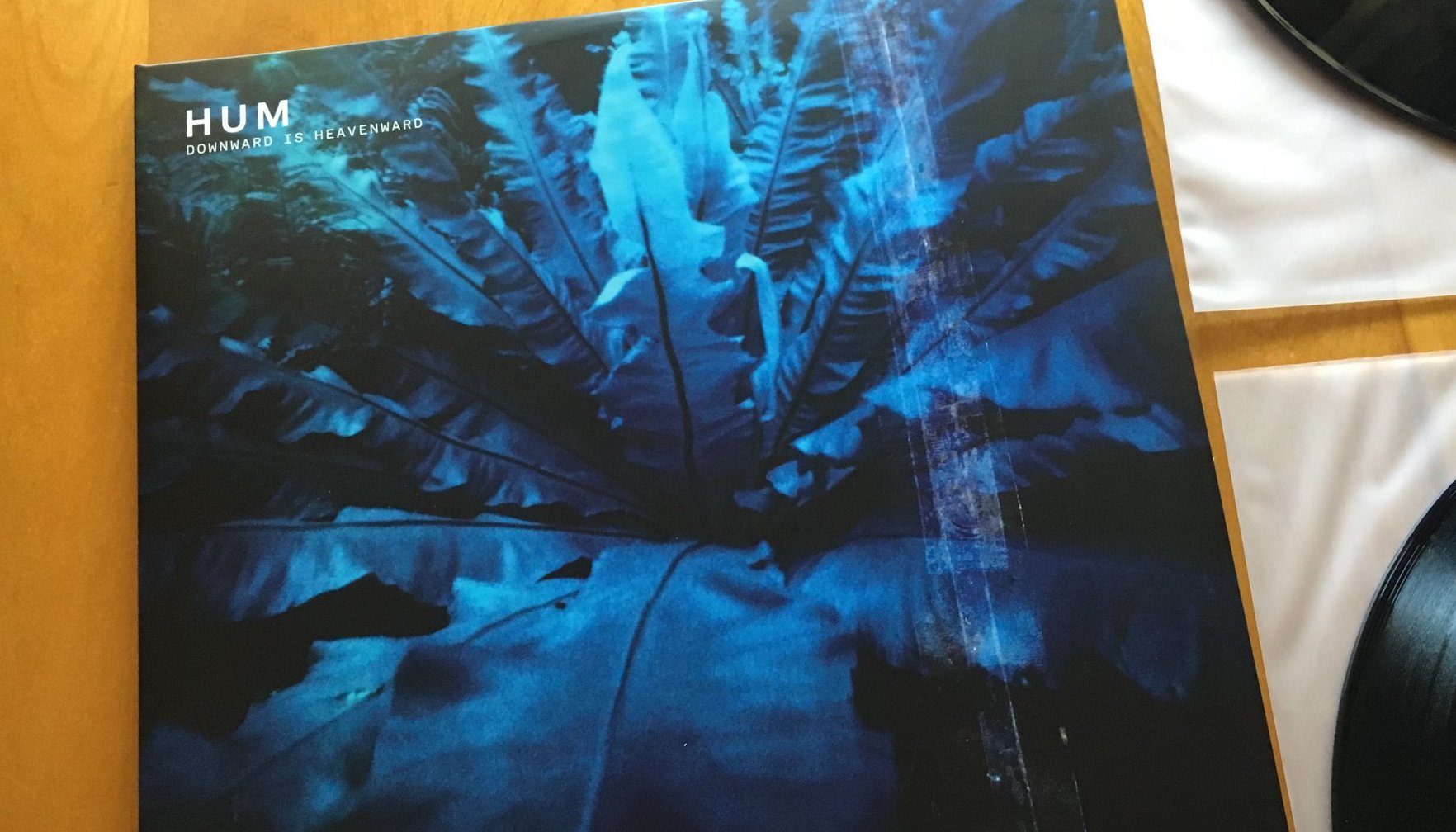 A photo of a vinyl music album on a wood table. The band Hum's albulm Downward is Heavenward shows a blue and black image of a plant. To the right of the album are snippets of two black vinyl records on white sleeves.