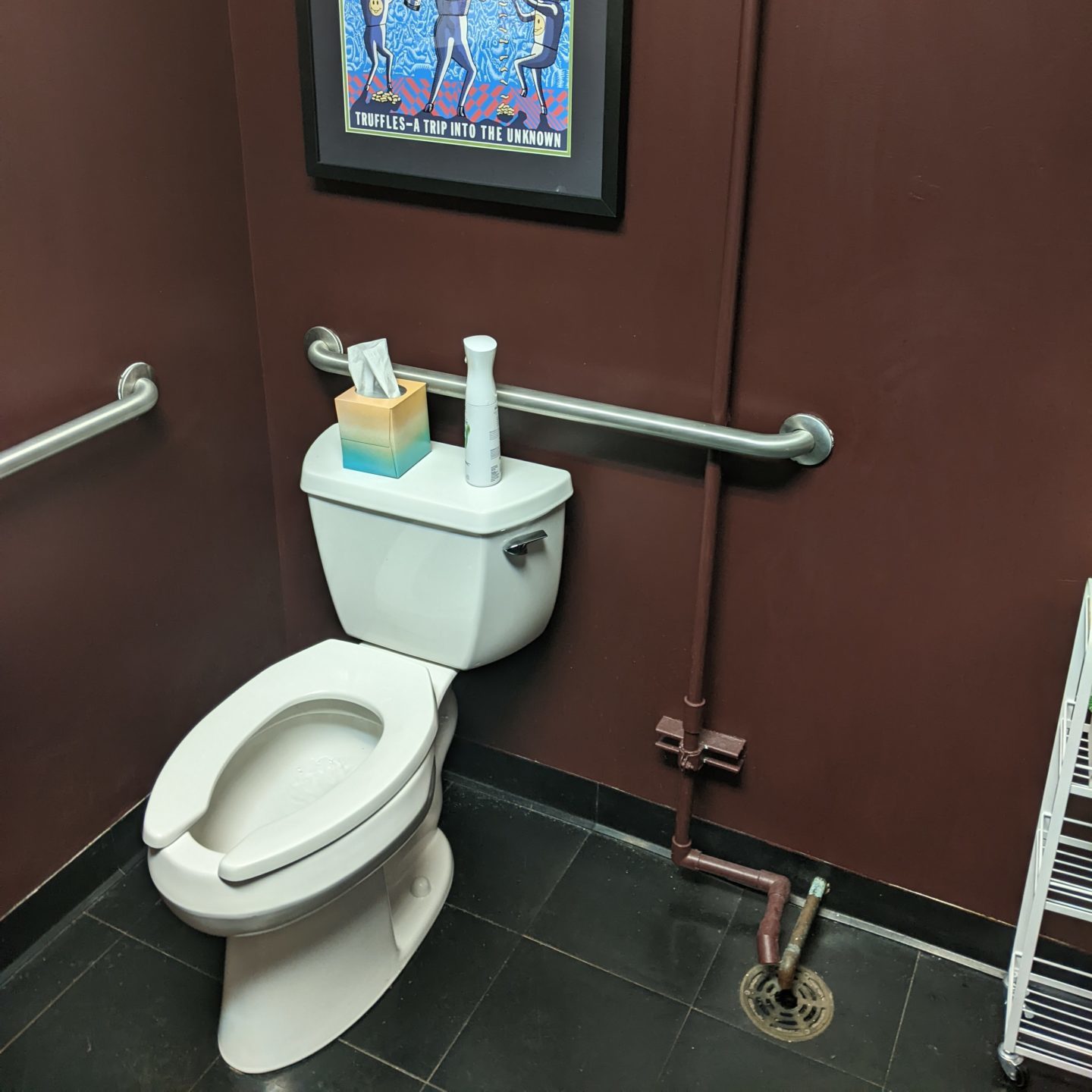 A white toilet is in the corner of a bathroom with dark burgundy walls and a black tiled floor. There are metal rails on either side of it. 