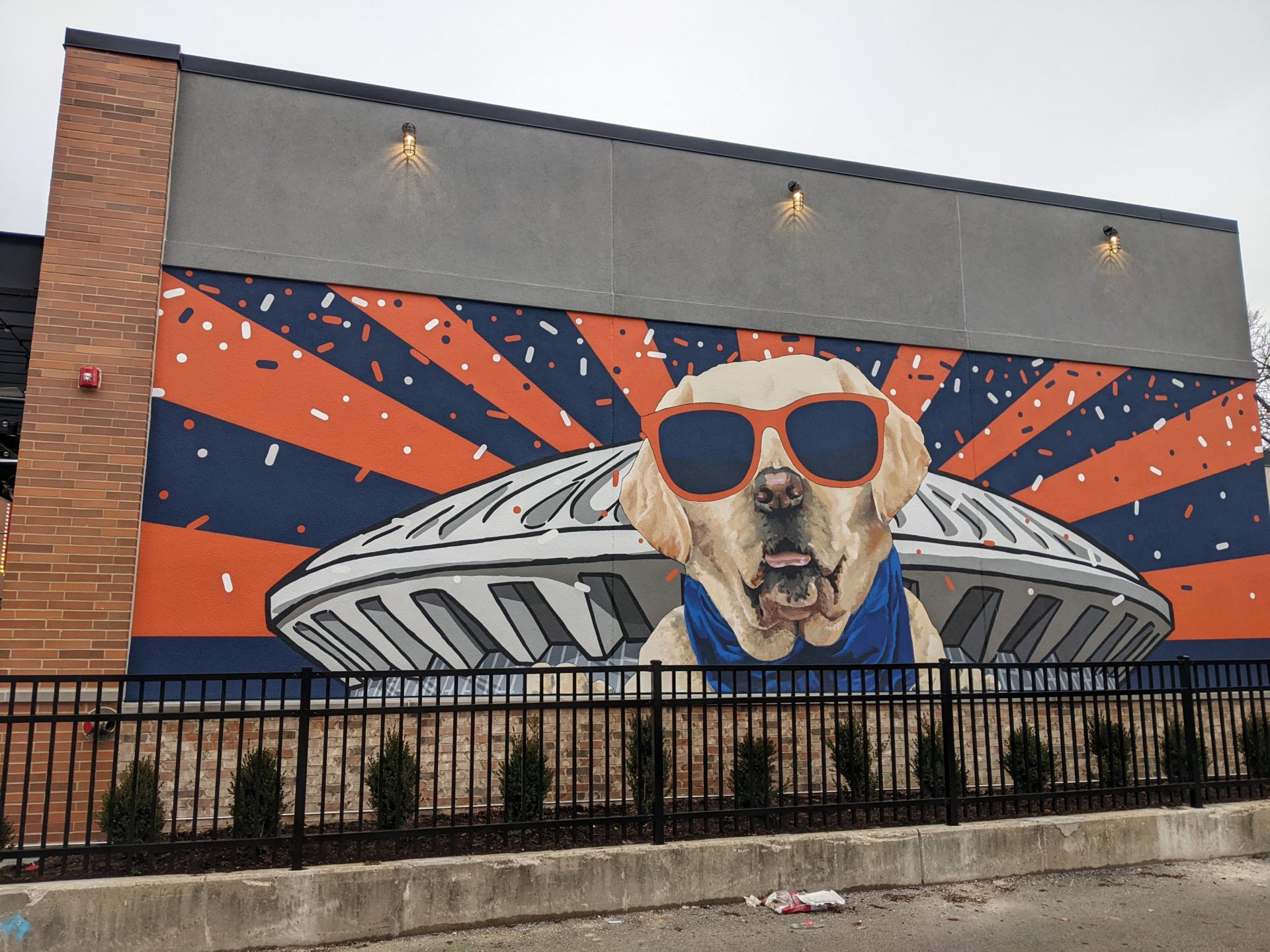 A large mural covers the side of a building. The mural depicts the State Farm Center, with a golden Labrador in orange sunglasses and a blue scarf in front of it. The background is dark blue and orange stripes with blue, orange, and white confetti.