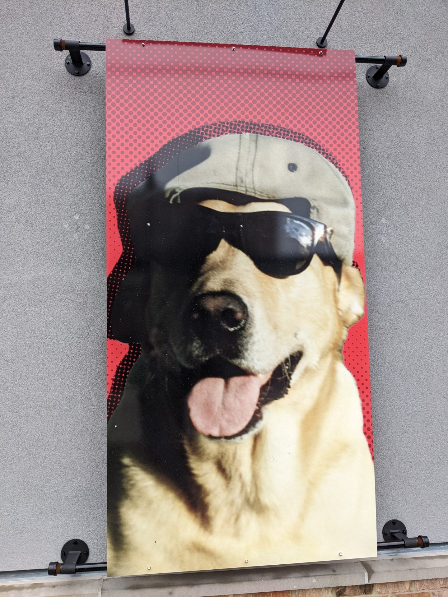 A rectangular vertical banner with the image of a dog in sunglasses and a hat. It has a red background.