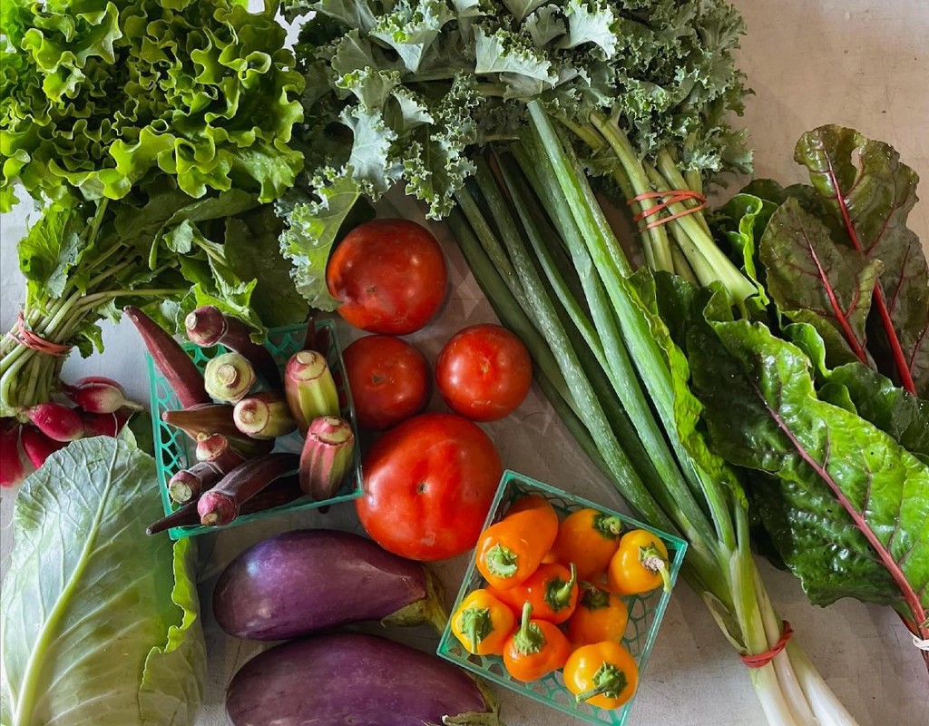 A colorful collection of produce sits on a metal table. There are green stalks of green onion, four red tomatoes, a small container of orange peppers, two purple eggplants, and a bunch of greens.