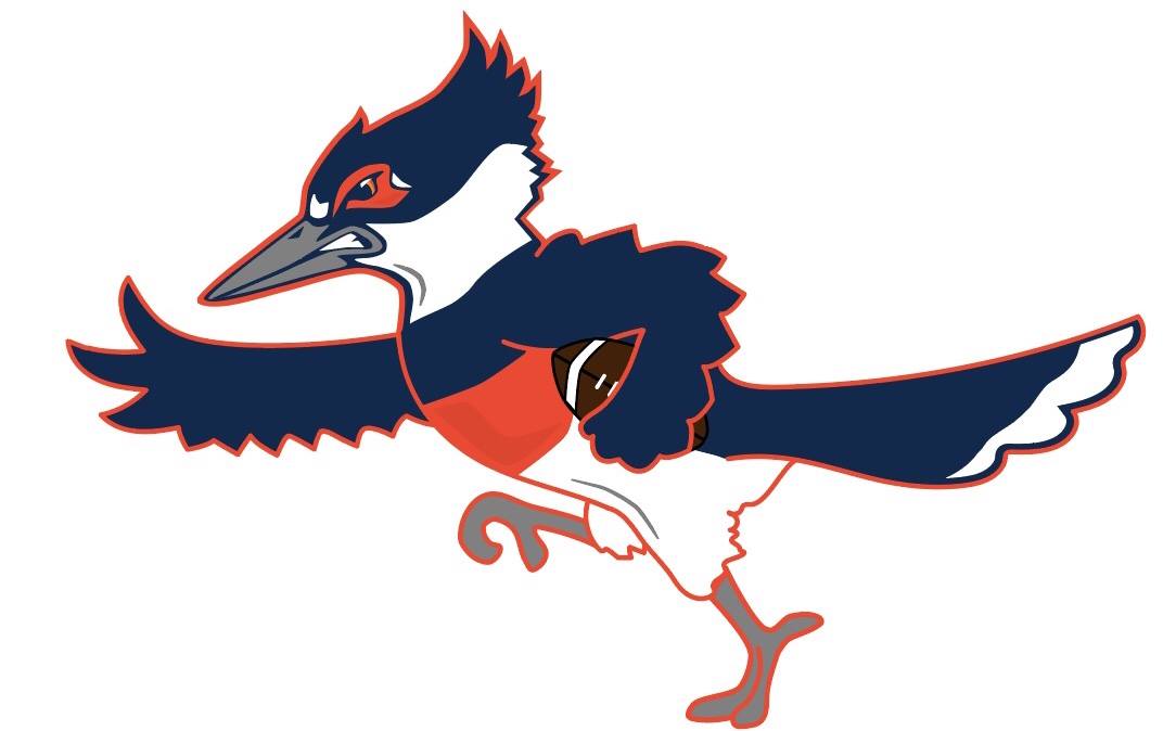 A drawing of a belted kingfisher pictured from the side, holding a football in one wing and holding its other wing out in front as if rushing a football down a field. The bird is blue and orange
