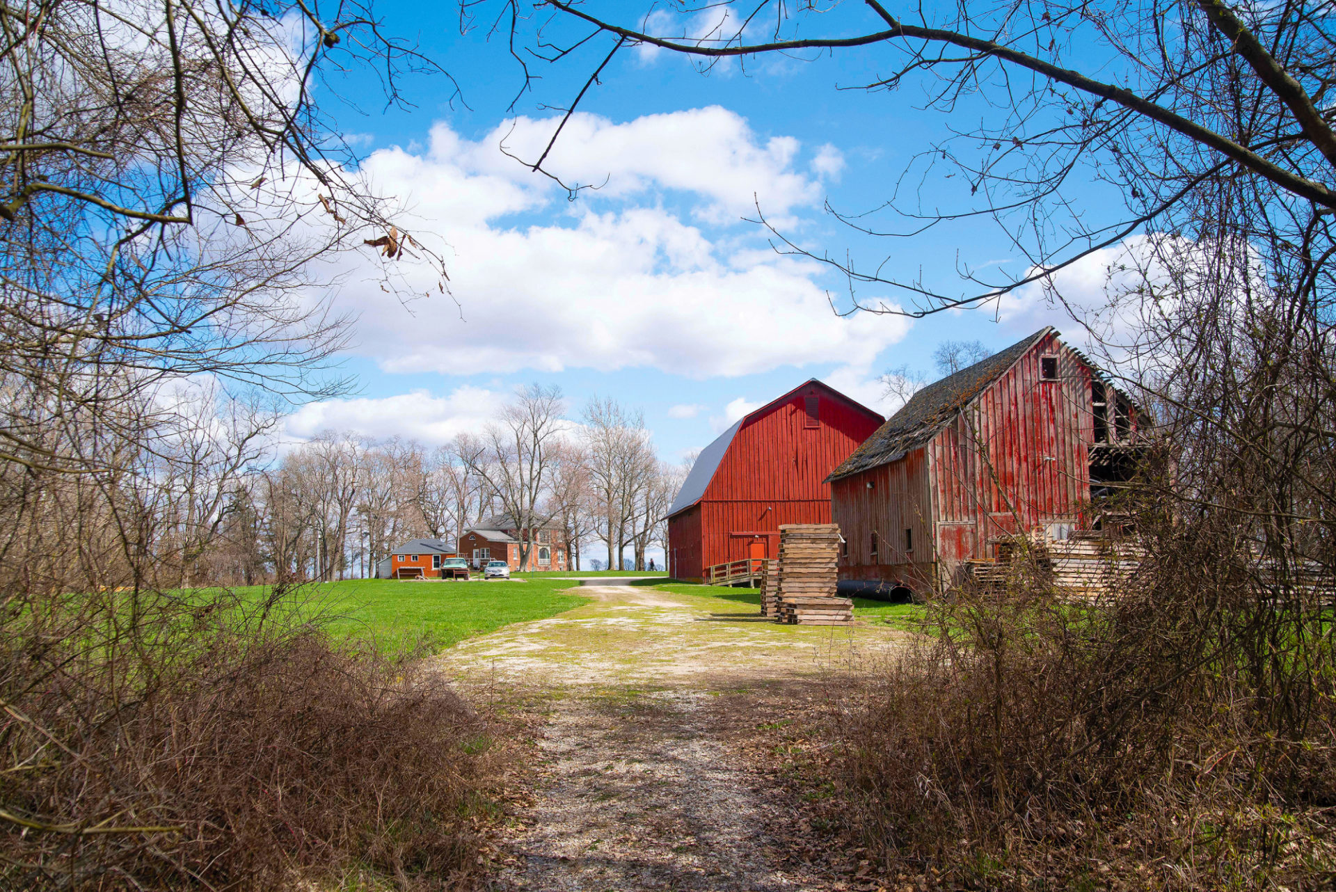 Photo of the red barn at Allerton Parkin Monticello, IL. A dirt pathway is in the middle of the image, in the middle ground on the right is a red barn. There is green grass on the left. The sky is bright blue with puffy clouds.