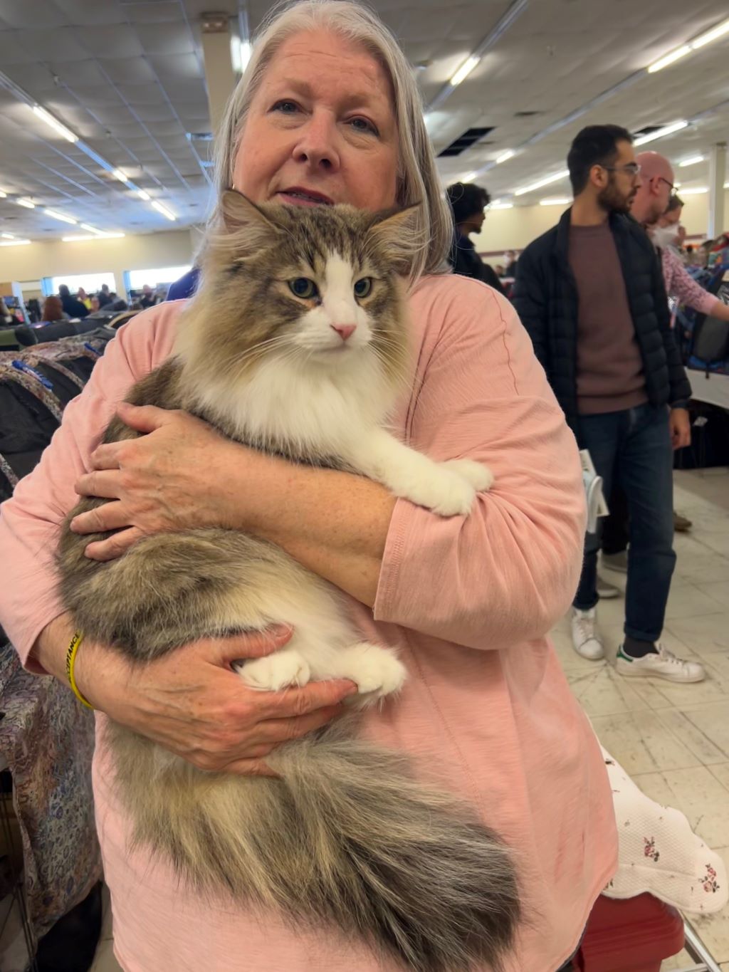A woman with gray hair and a pink shirt is holding a large fluffy white and brown cat.