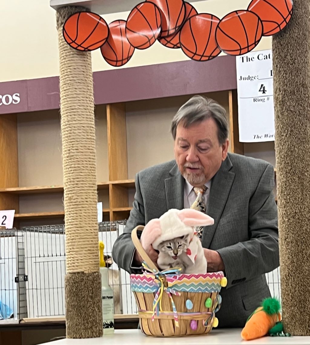 A man in a gray suit is pulling a kitten in an Easter bunny costume out of a basket decorated with eggs.