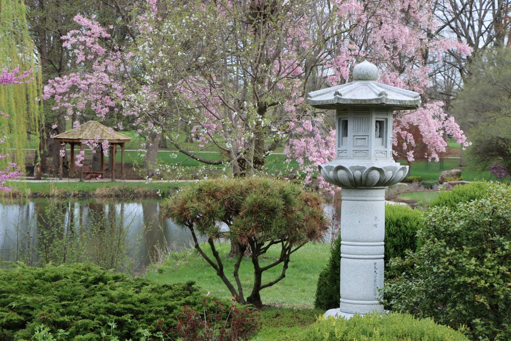 Get your tickets for the Japan House Spring Open House