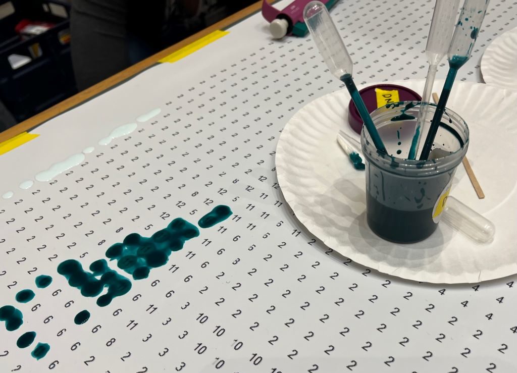 A large white paper with numbers printed all over it. There is a paper plate with a cup with blue dye in it, and droppers. Some of the paper is covered in the blue dye.