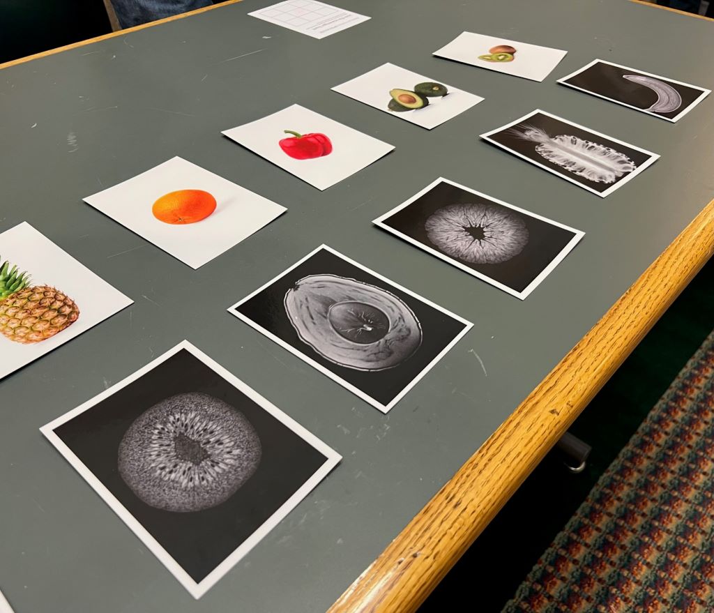 There are a series of cards with pictures of fruit on them lined up on a table. Below them are MRI images of the fruit lined up.