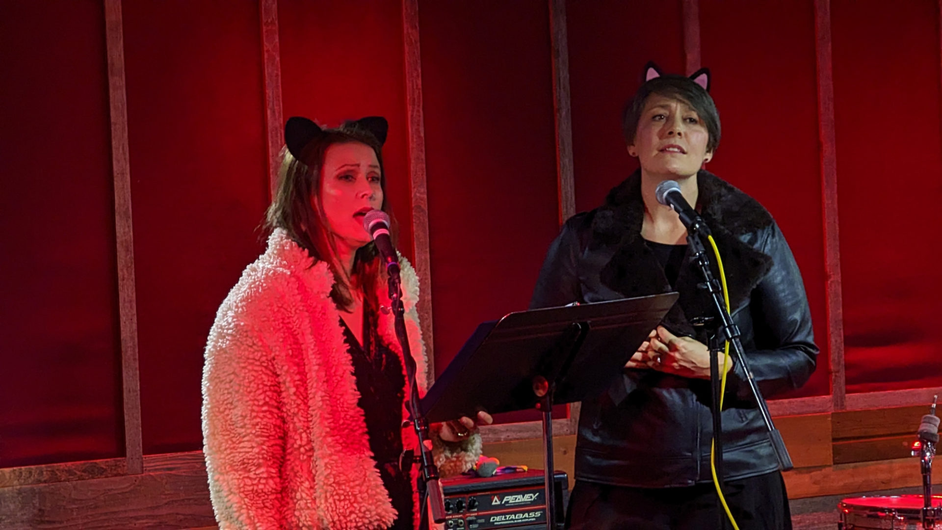 Two white women, one i a white coat, one in a black coat, are on a stage singing behind a microphone. They are both wearing cat ear headbands. The lighting is casting a red glow on them.