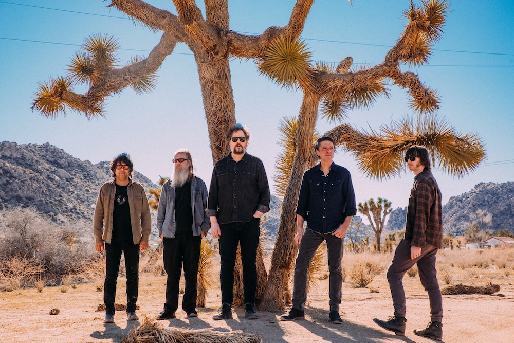The 5 members of Drive By Truckers stand in the desert, all looking in different directions. They stand under what looks to be a Joshua Tree.