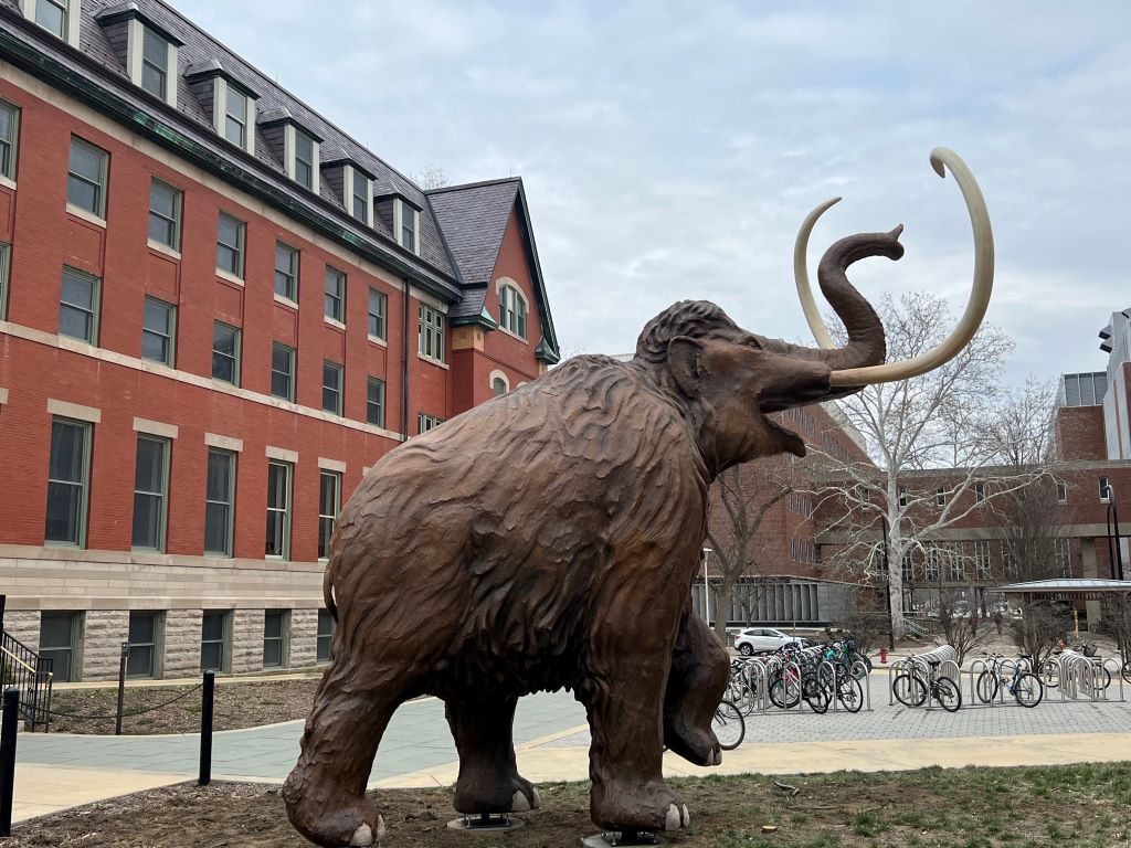 A large statue of a brown woolly mammoth with large curled tusks. It sits in a grassy area with a red brick building lined with windows in the background.