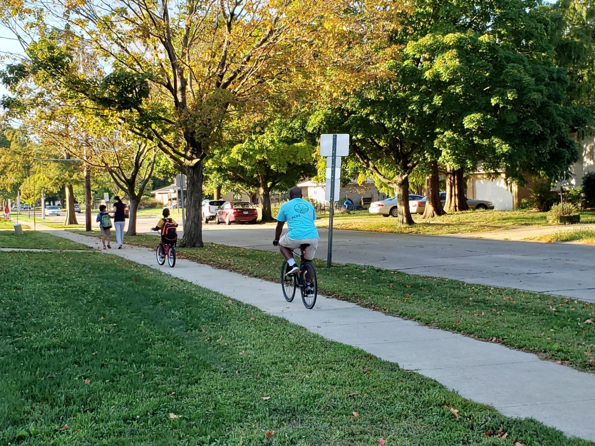 An adult and an child are on bikes, riding down a sidewalk in a tree-lined neighborhood road.