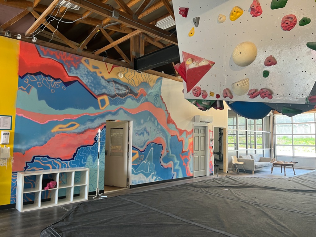 a colorful painted wall has a bookshelf in front of it. A corner of a rock climbing wall is in the top right corner of the image.