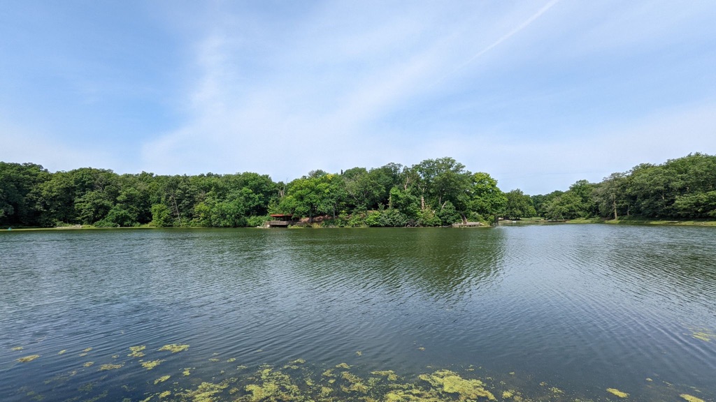 a broad lake is pictured with algae floating on top of the bottom third of the picture and trees in the foreground.