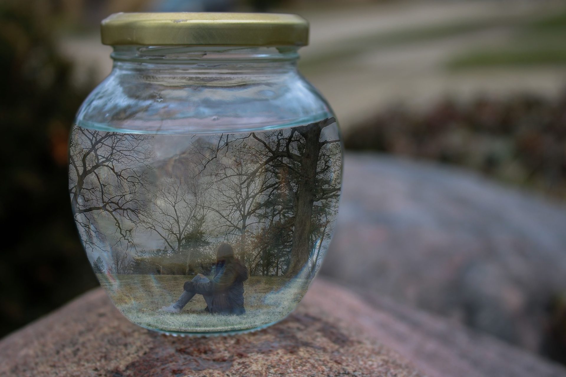 A large glass jar with gold lid sit outside. Inside the jar is a reflection of a person sitting surrounded by trees.