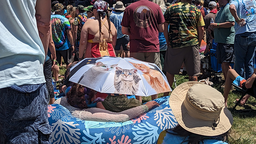 Photo from behind of a couple sitting on an inflatable couch while holding a kitten umbrella