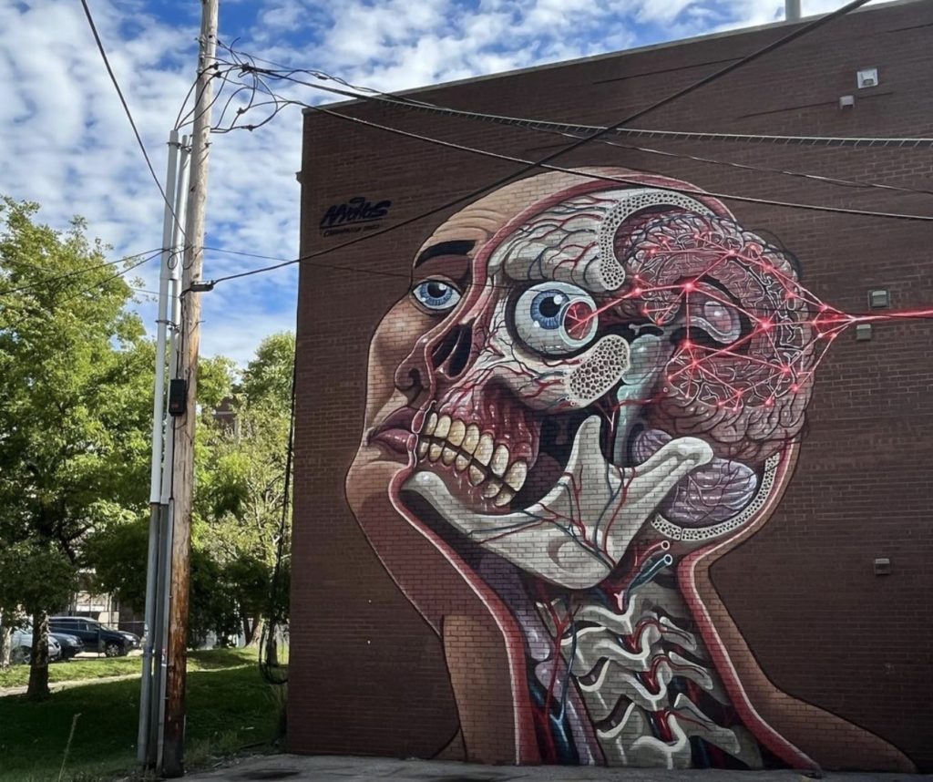 a mural on the side of a brick building, on the left is a mans face, ont he right is the exposed interior of the human face and neck 