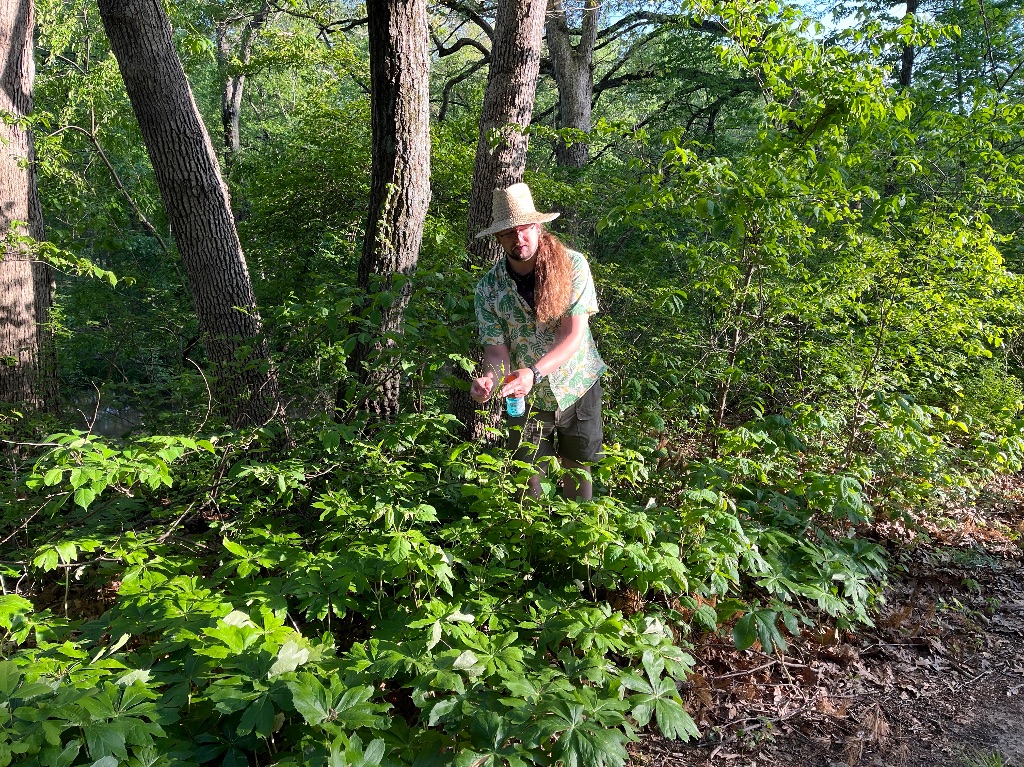 a white man with long brown hair and beard stands next to a wooded path. He wears a patterned green and yellow shirt and a tan brimmed hat. He is standing in the forest in knee high bushes..