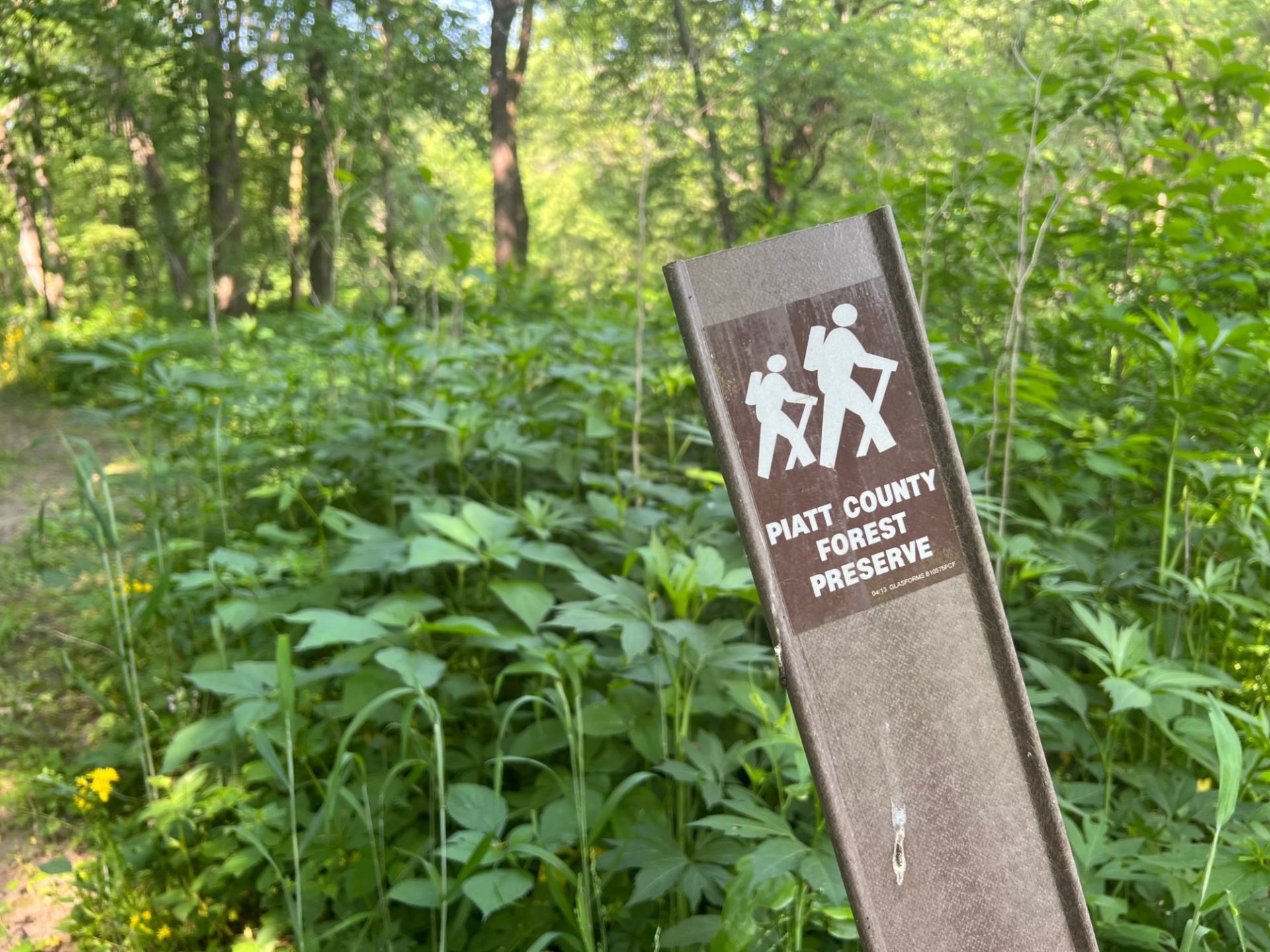 A brown post with an image of two hikers. It says Piatt County Forest Preserve in white letters. Behind the post are green leafy plants.