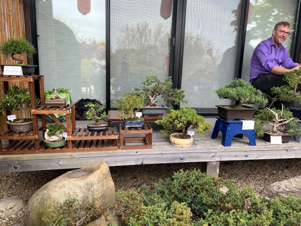 A row of small bonsai trees are lined along a raised wooden deck.