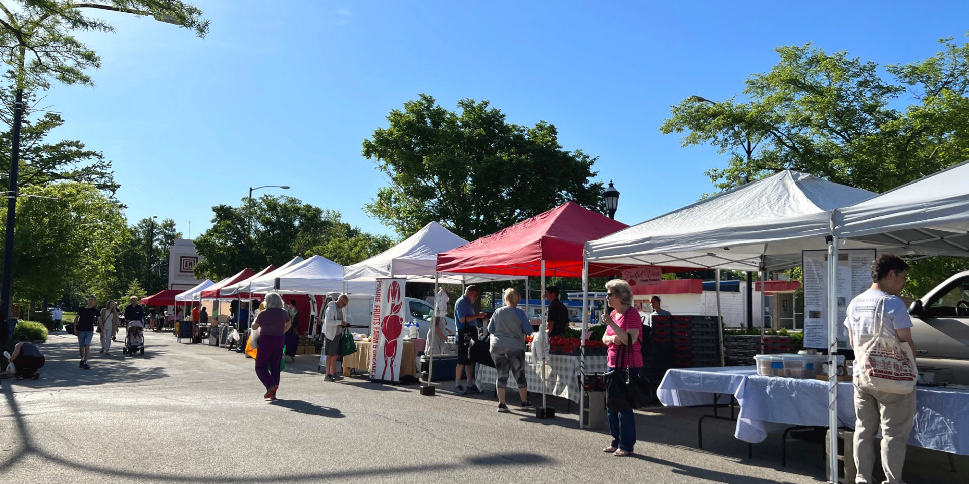 A sunny Saturday morning at the Urbana Market at the Square, one of C-U farmers' markets. Photo by Alyssa Buckley.