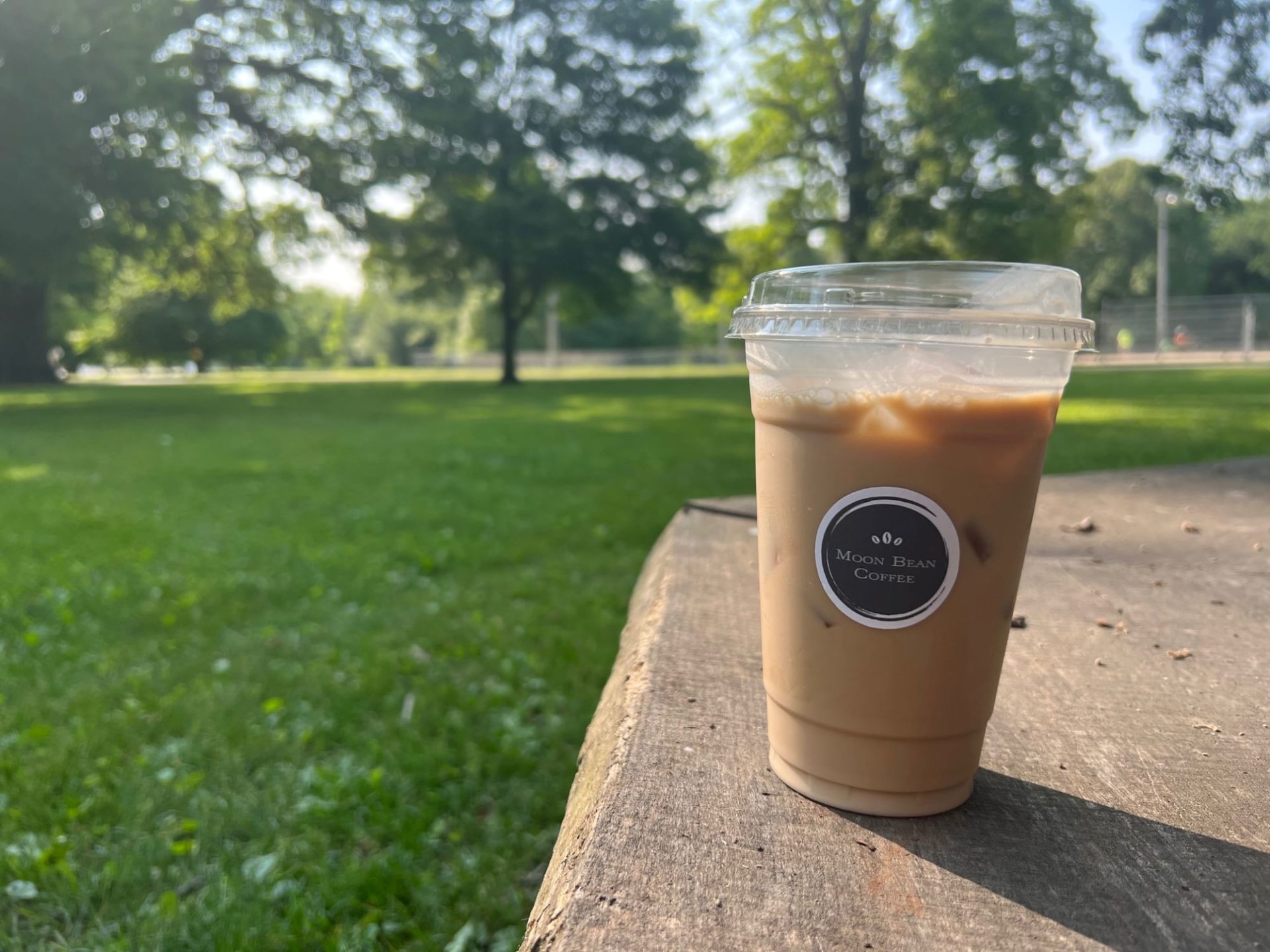 A plastic cup with iced coffee and cream sits on a wooden bench in a large grassy area.