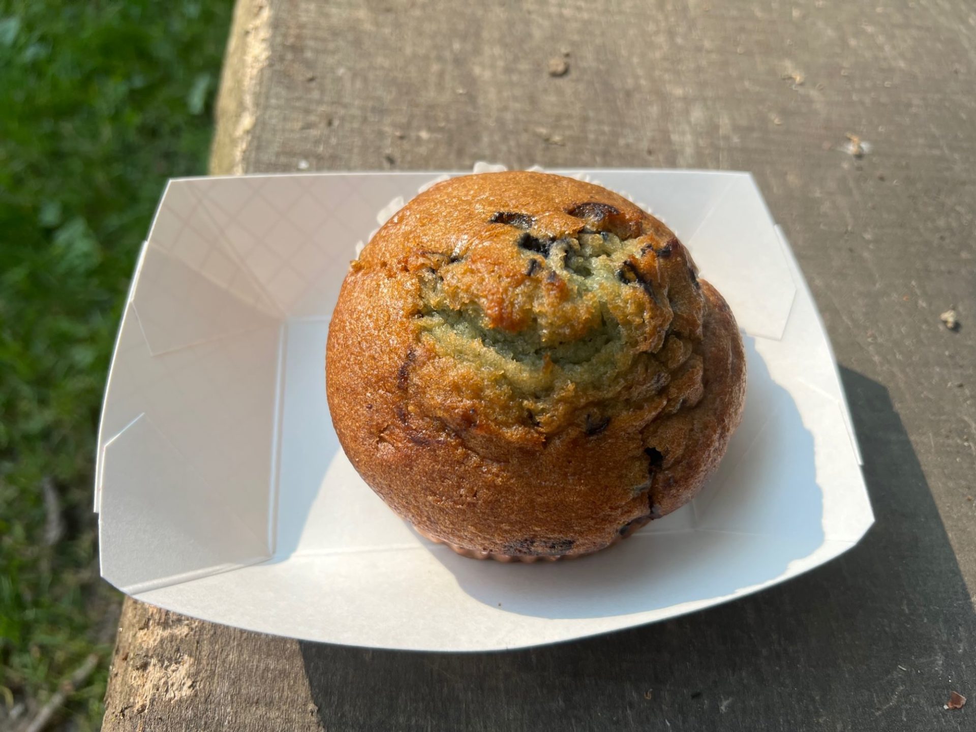 A blueberry muffin in a white cardboard container sits on a wooden bench.