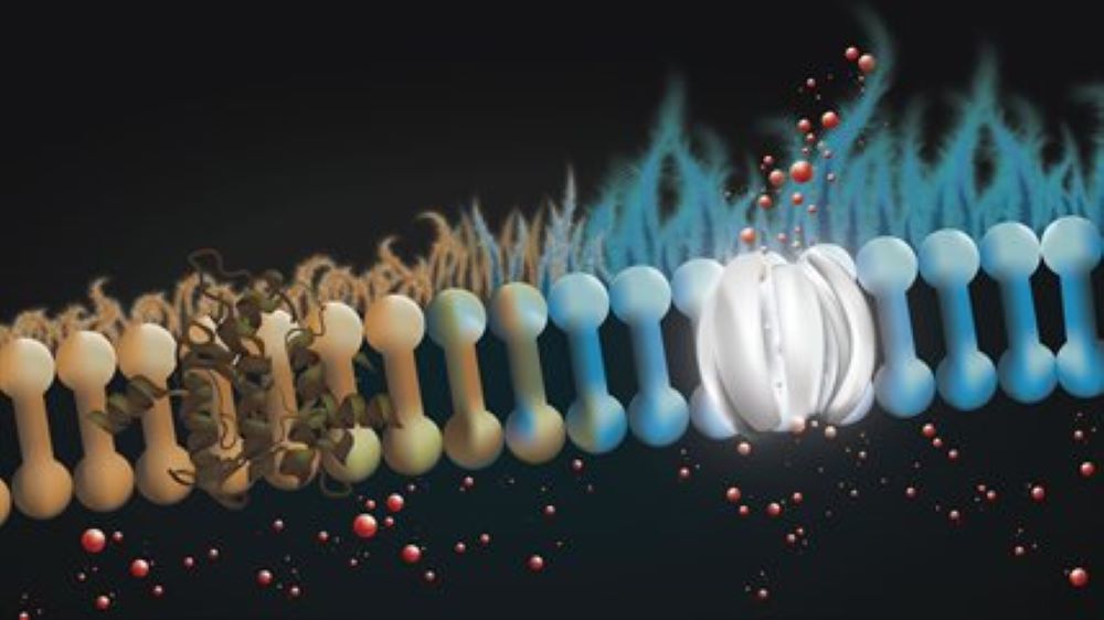 A digital illustraion of a molecule chain.