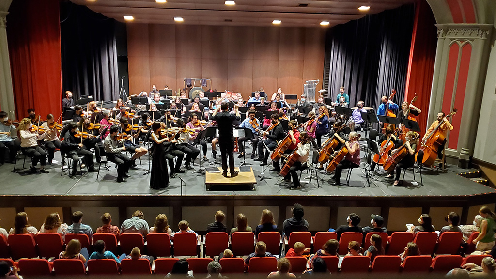 An orchestra performing onstage. You can see the first 3 rows of the audience.