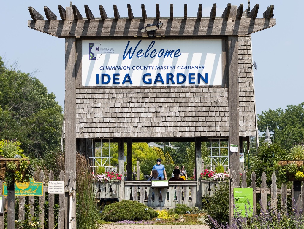 The entrance to the Idea Garden. A wooden pergola you can walk under with the words Welcome to the Champaign County Master Gardener Idea Garden in blue letters on a white sign. 