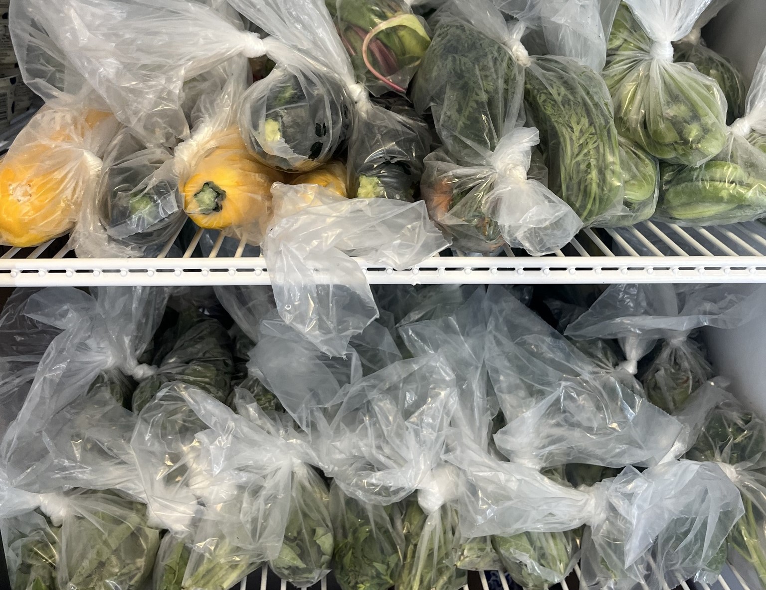 Two white wire refrigerator shelves are loaded with green and yellow vegetables, individually bagged in plastic.