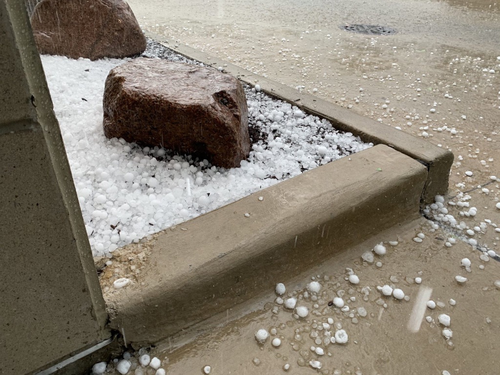 A cement flower bed completely covered in quarter sized hail. 