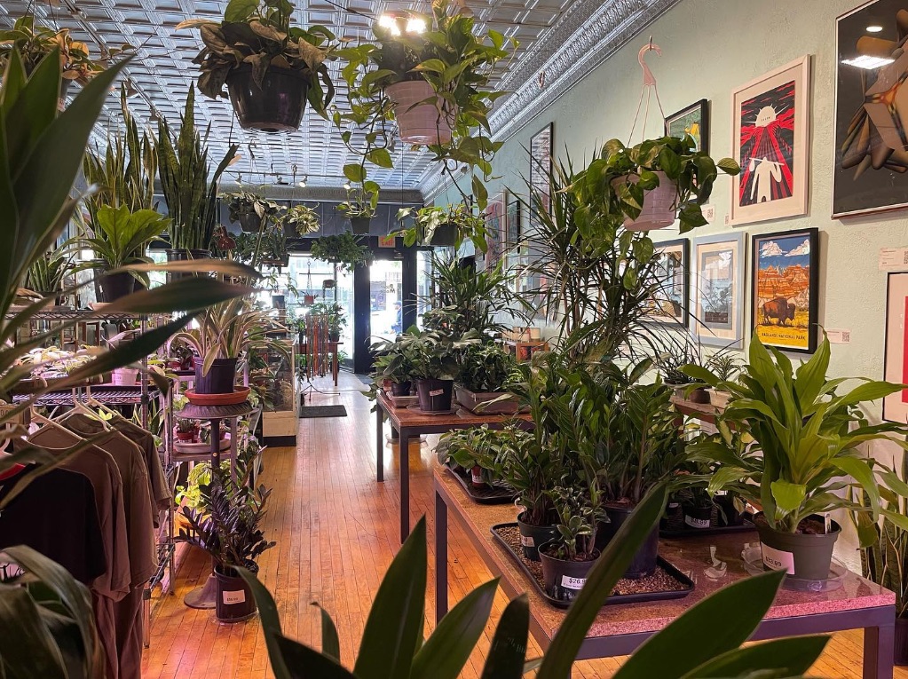 a store full of plants. The floor is orange and there is a wall of windows at the back end of the picture.