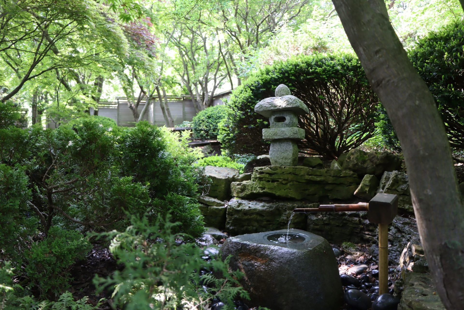 A tea garden with a stone fountain, surrounded by green trees and bushes.