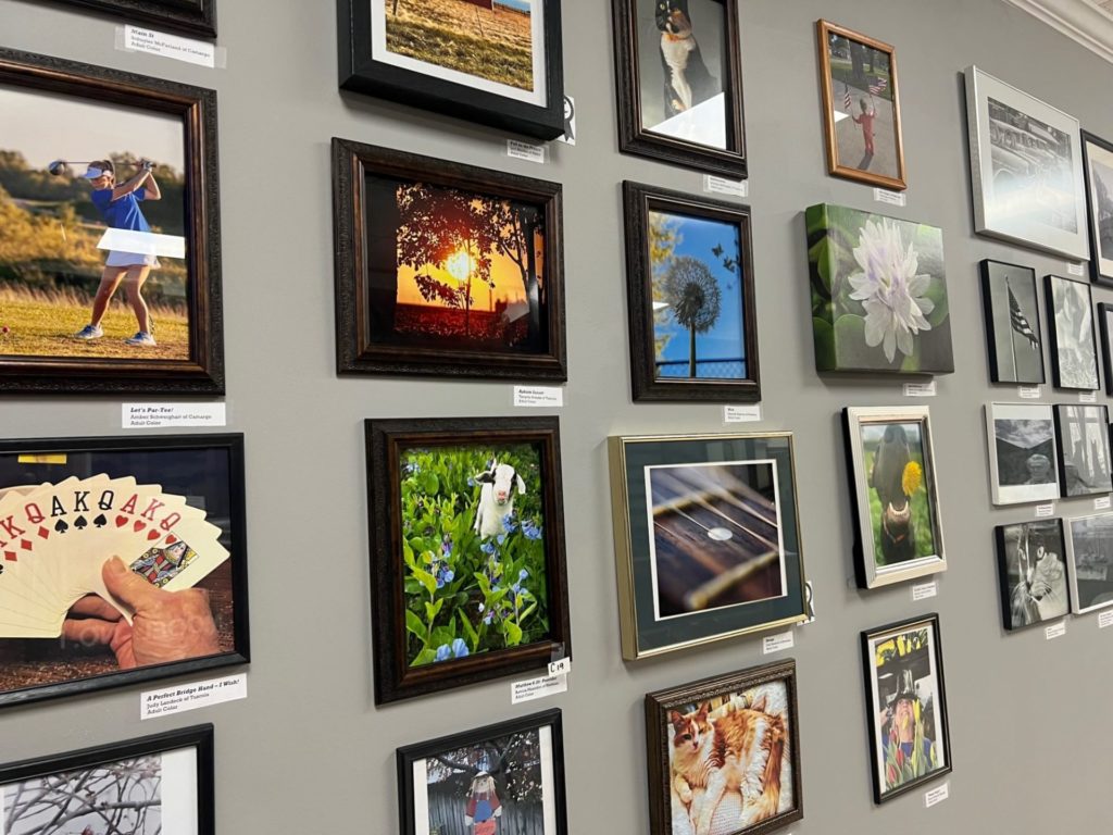 A gray display wall with rows of color and black and white framed photographs hanging on it. 