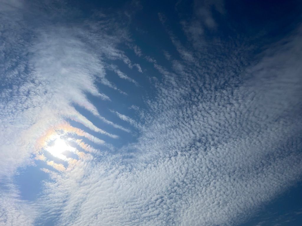 a picture looking up at the blue sky with white streaky clouds and the sun behind them.
