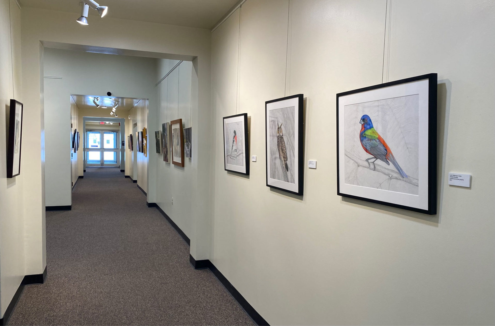 Hanging in the above exhibition on the right side wall are some colored pencil and graphite paintings/drawings by Lynn Smith.