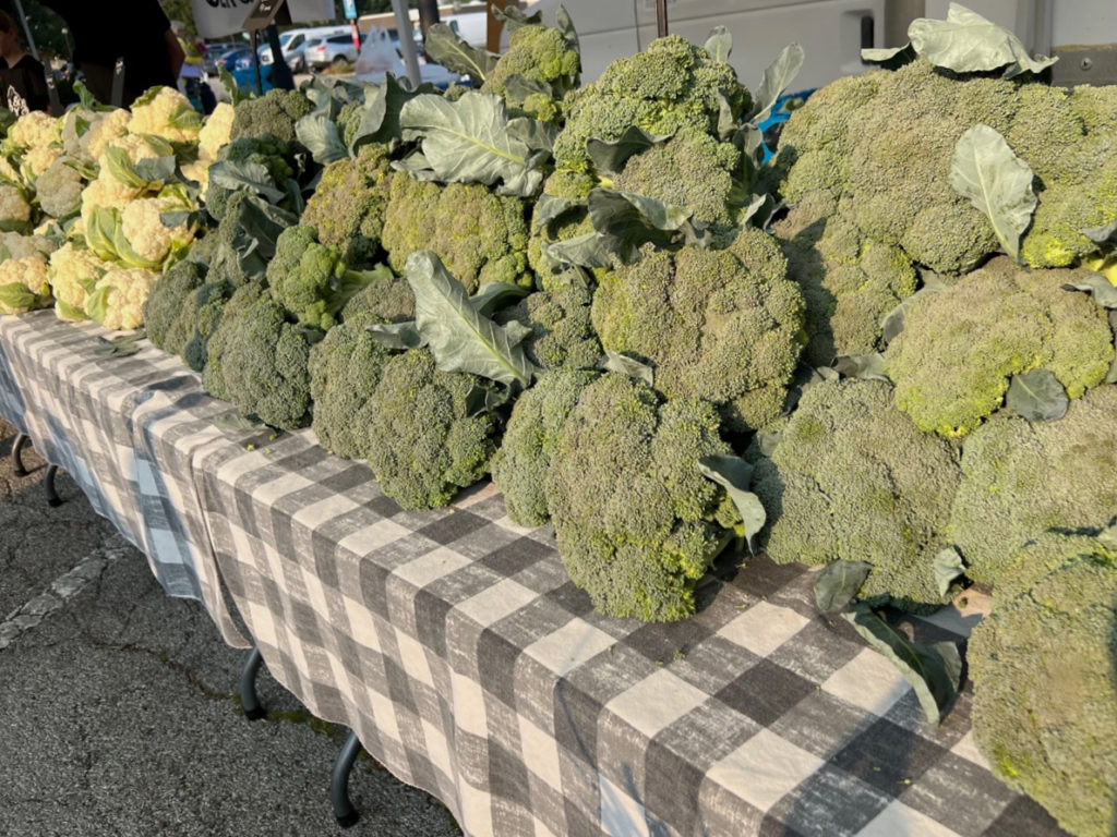 At the Champaign farmers' market, Ben & Molly's Farm has huge broccoli for sale. Photo by Alyssa Buckley.