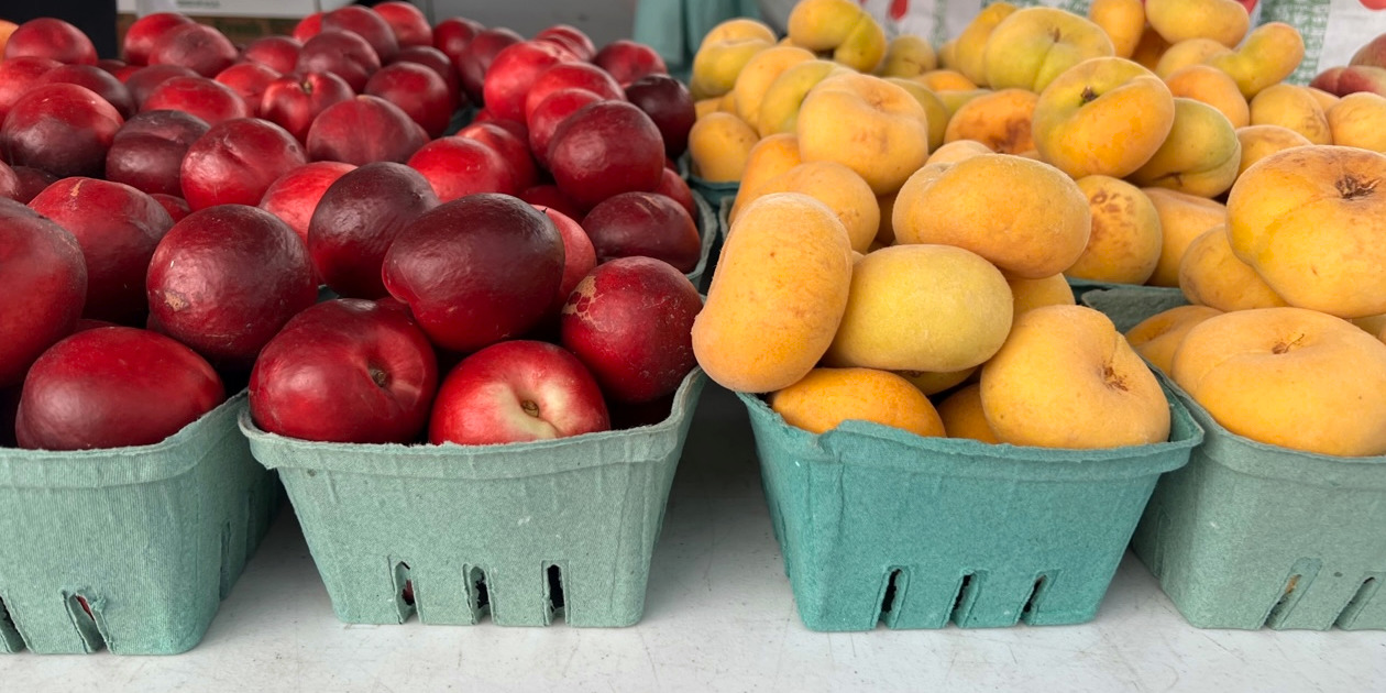 A cropped image of peaches for sale at the market. Photo by Alyssa Buckley.