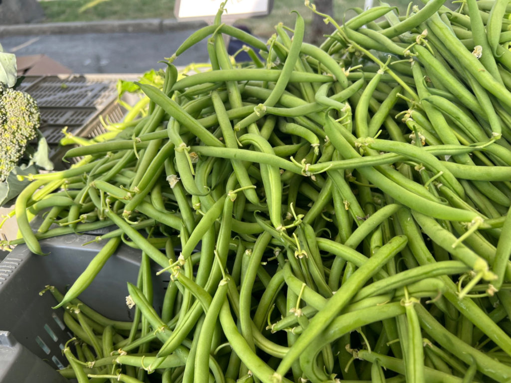 Green beans in Champaign-Urbana can be found at the farmers' market. Photo by Alyssa Buckley.