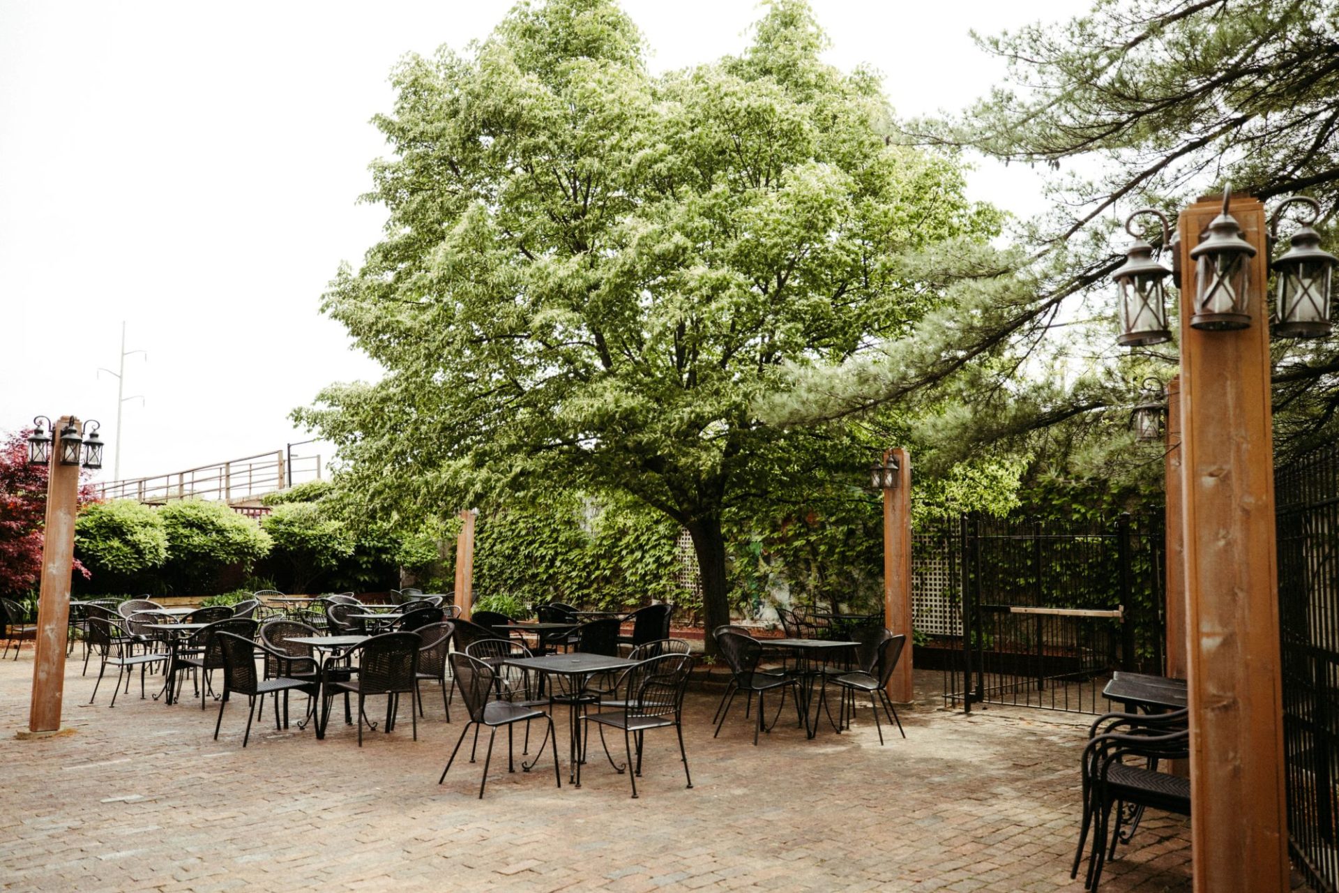 A large outdoor patio with several black metal tables and chairs. There is a large tree in the center of the patio.